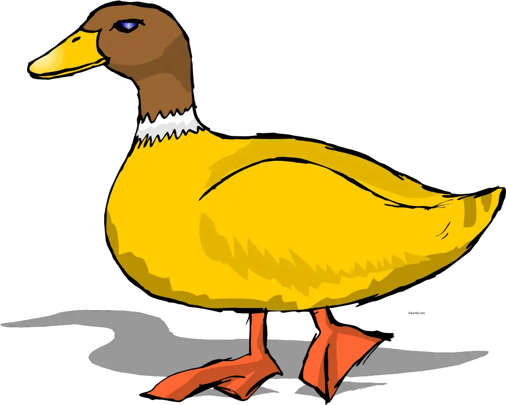 Cartoon Duck Clipart Png Clip Art Duck Duck Cartoon Png