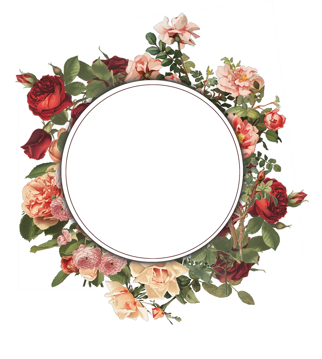 Vintage Flower Frame Png Transparent Collections Floral Frame Transparent Png Behance Png