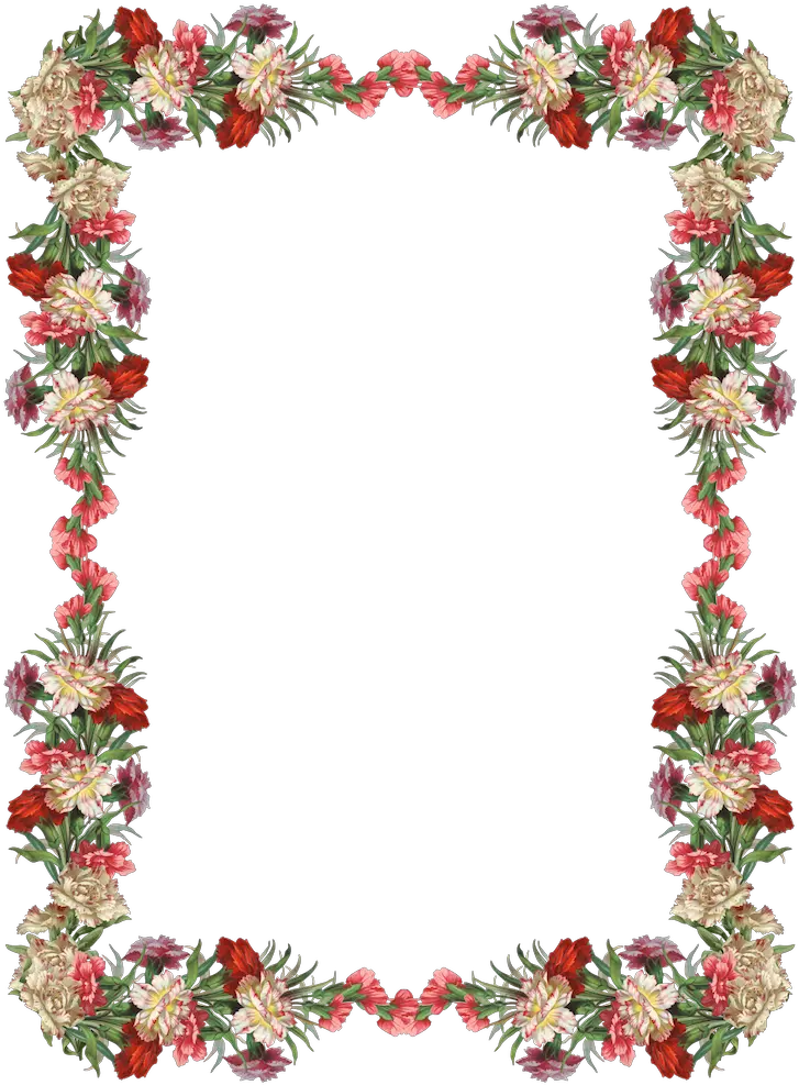 Rectangle Border Png Transparent Border Flower Transparent Background Frame Vintage Border Png