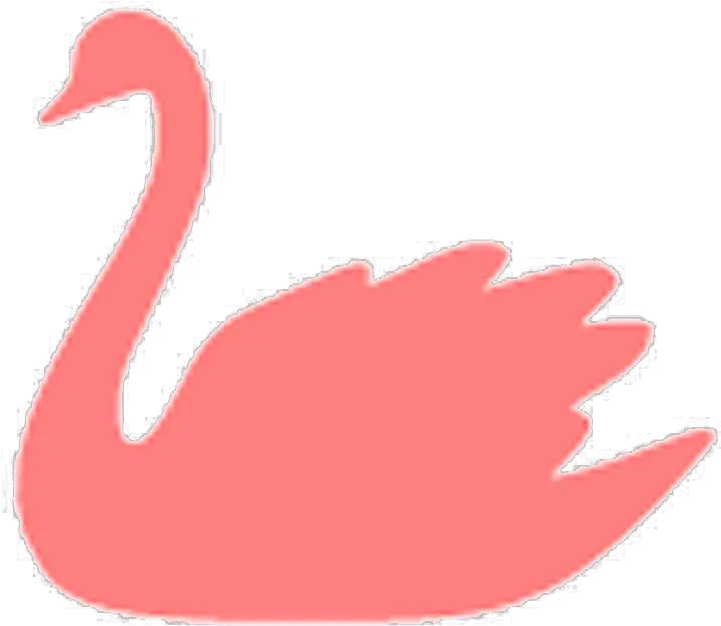 Swan Png Picture Swan Swan Png