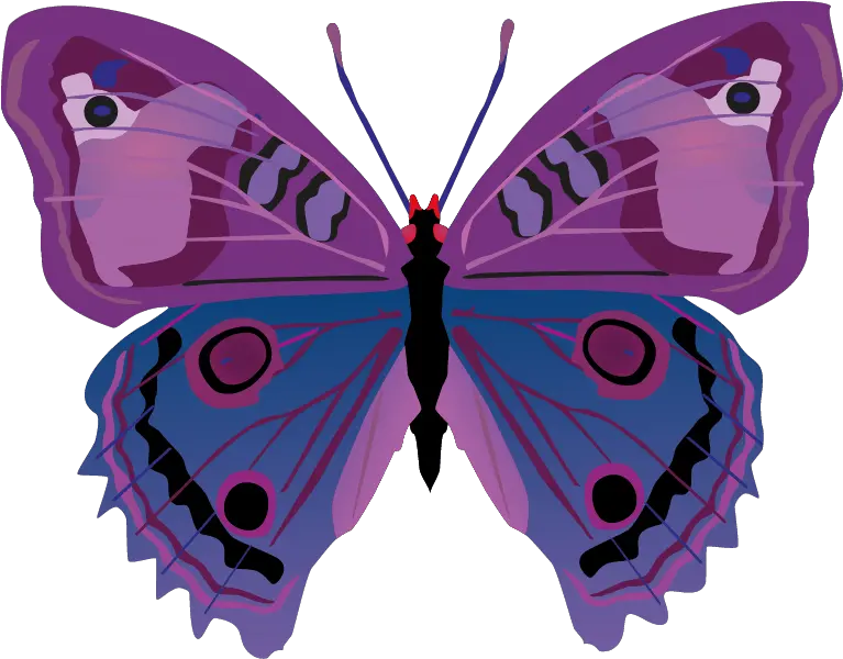 Butterfly Png Images Download Vector Cartoon Butterflies Purple Butterfly Png