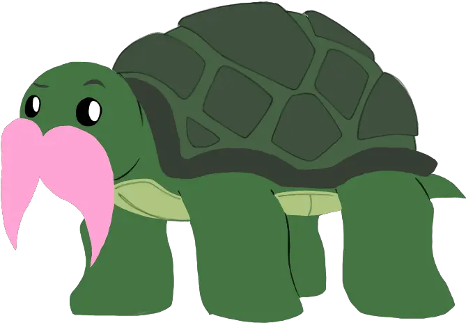 Turtle Cartoon Png Clip Art Free Requests Juan The Dancing Clip Art Dancing Gif Png