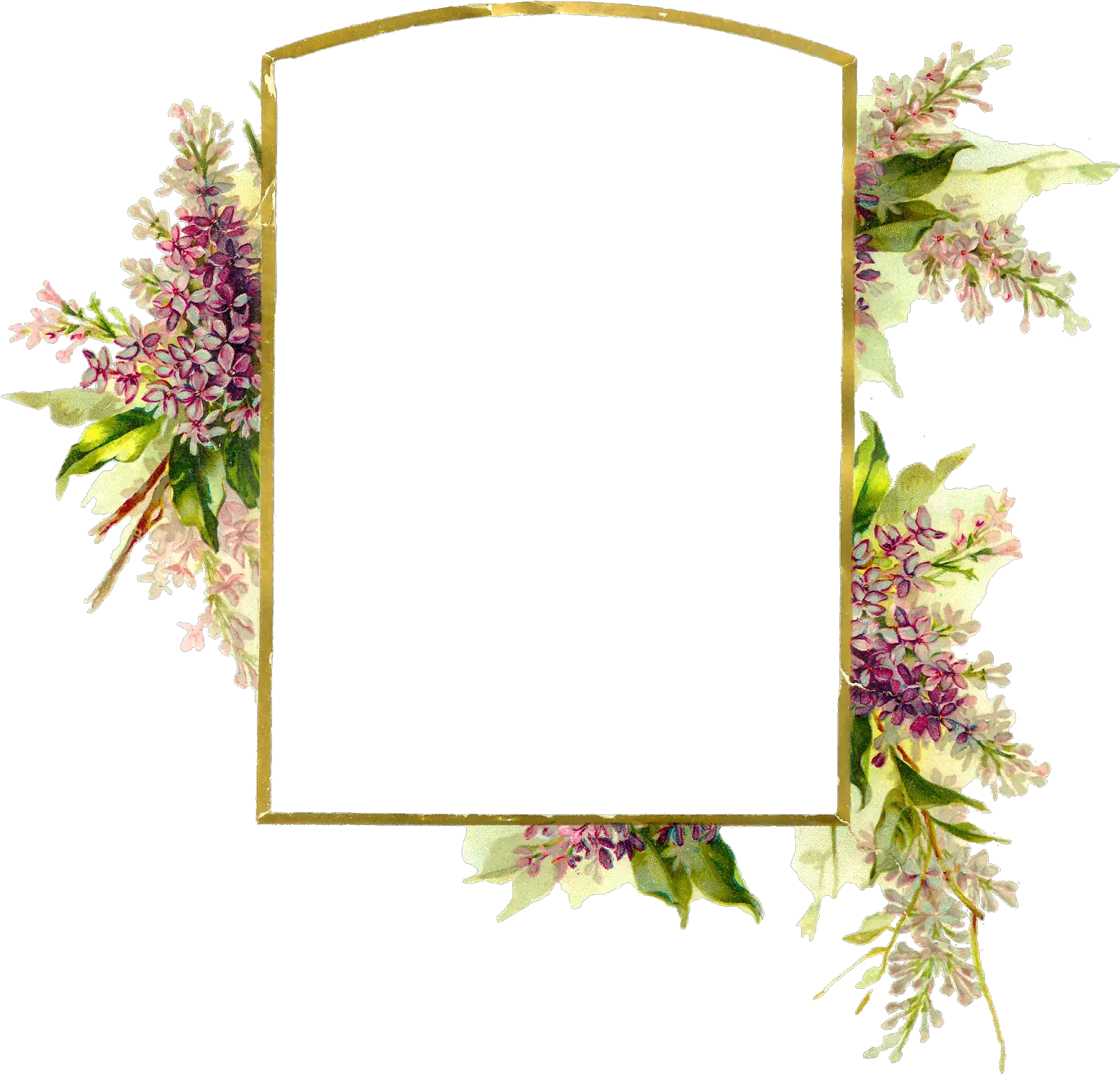 Floral Frame Png Images Free Download Floral Frame Background Hd Flower Frame Png