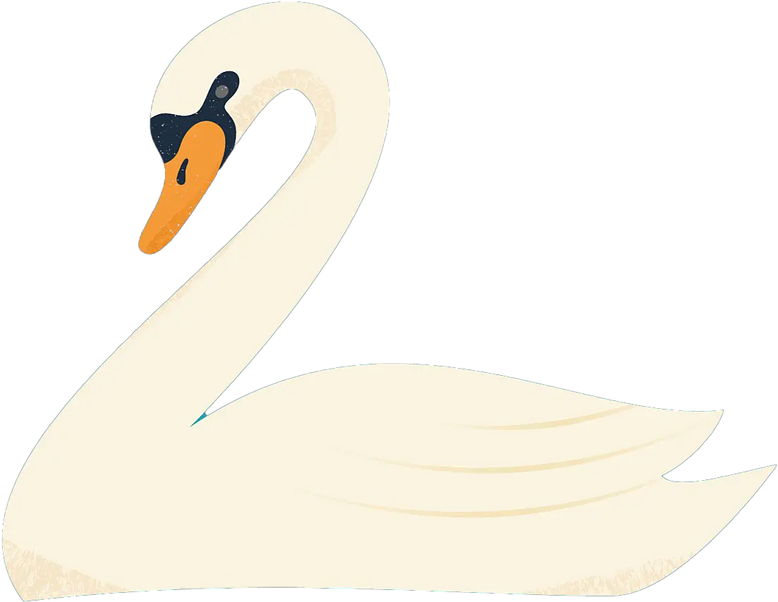 Swan Transparent Free Png Swan Ducks Png