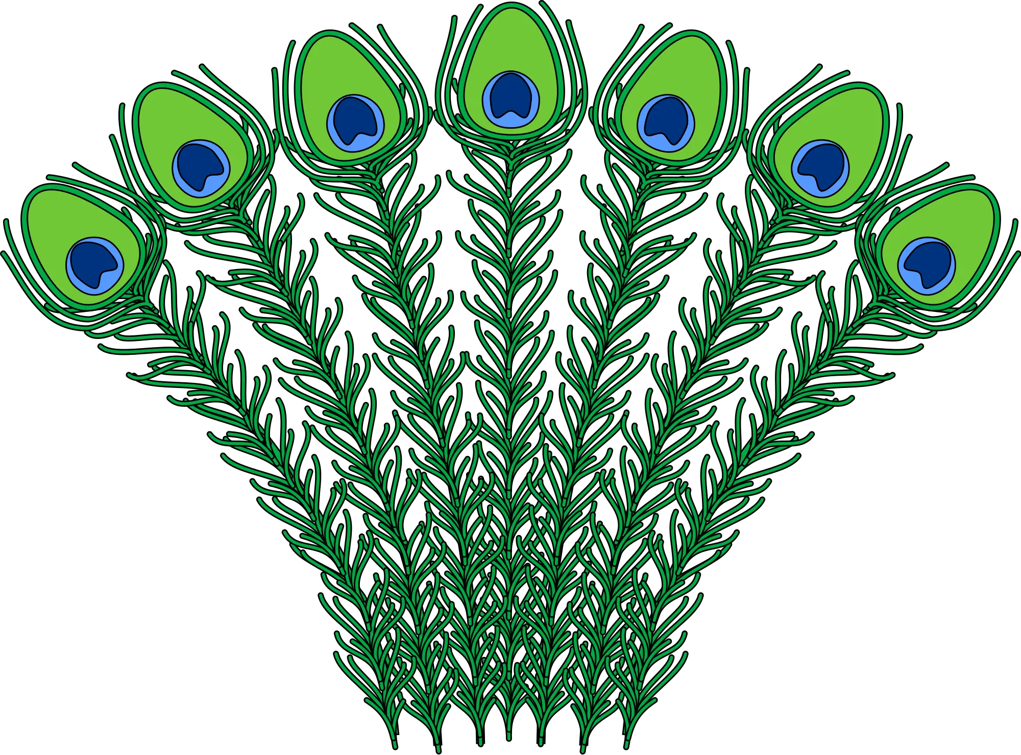 Heraldic Peacock Feathers Peacock Feather Coat Of Arms Png Peacock Feathers Png