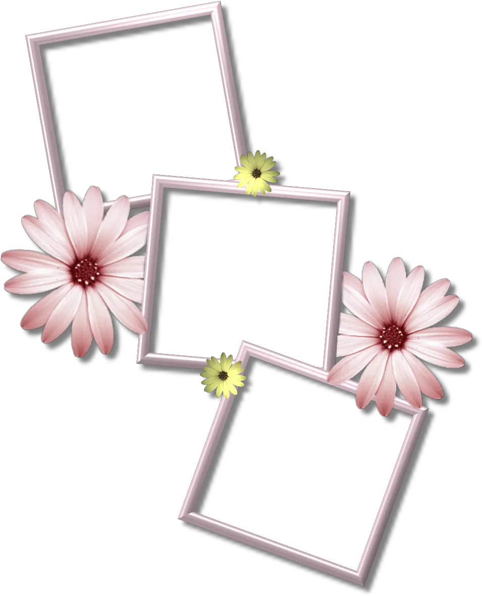 Collage Frame Png Hd Pictures Vhvrs Multiple Photo Frame Png Frame Design Png