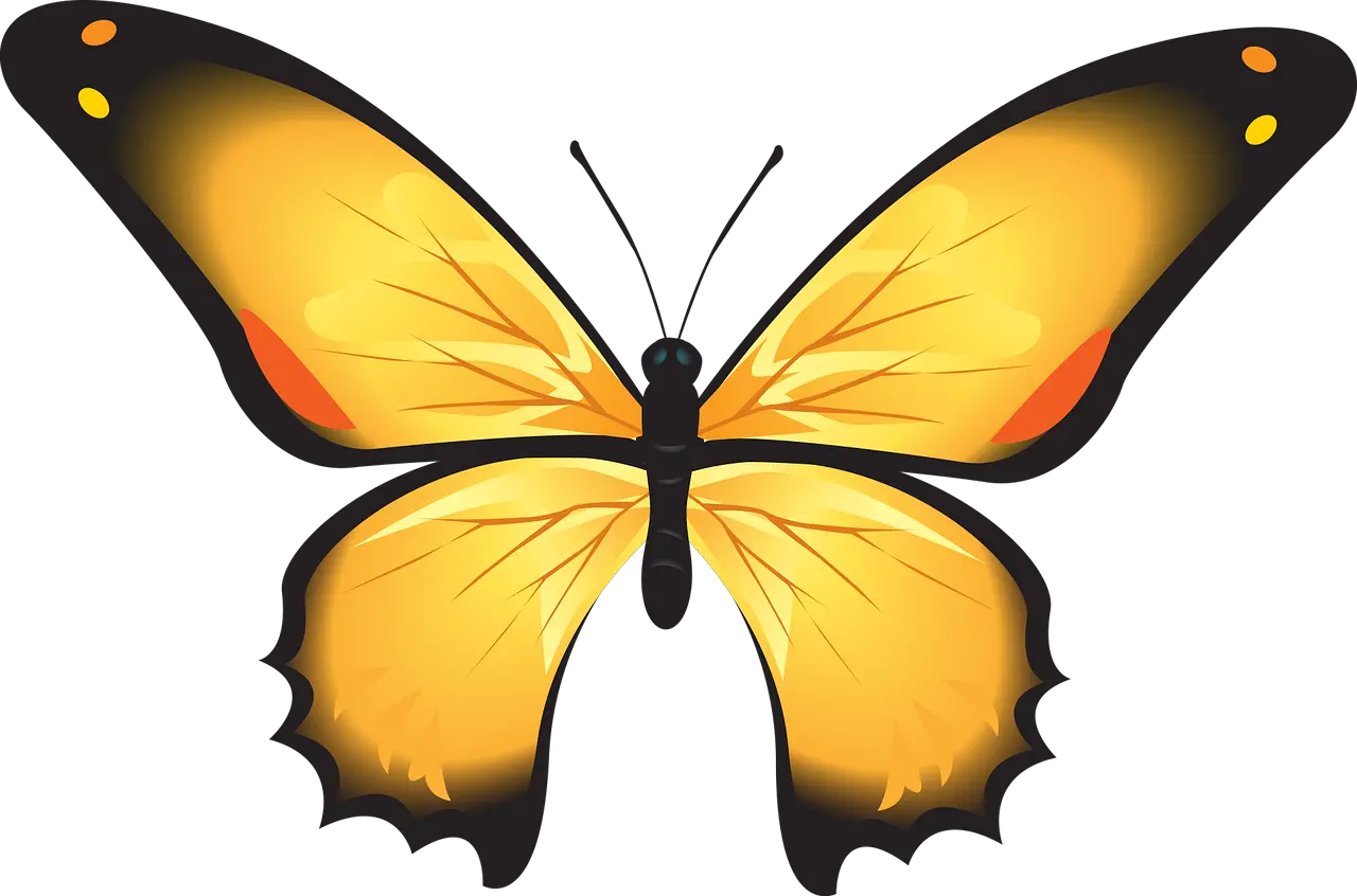 Butterfly Colorful Yellow Insect Kupu Kupu Png Cartoon Butterfly Logos