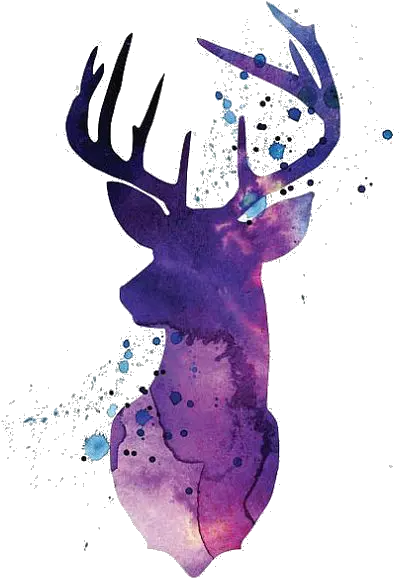 Reindeer White Tailed Deer Silhouette Watercolor Painting Watercolor Deer Tattoo Png Purple Watercolor Png