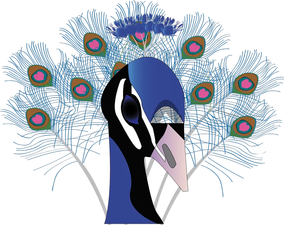 Bird Peacock Feather Free Vector Graphic On Pixabay Pride 7 Deadly Sins Animals Png Peacock Feathers Png