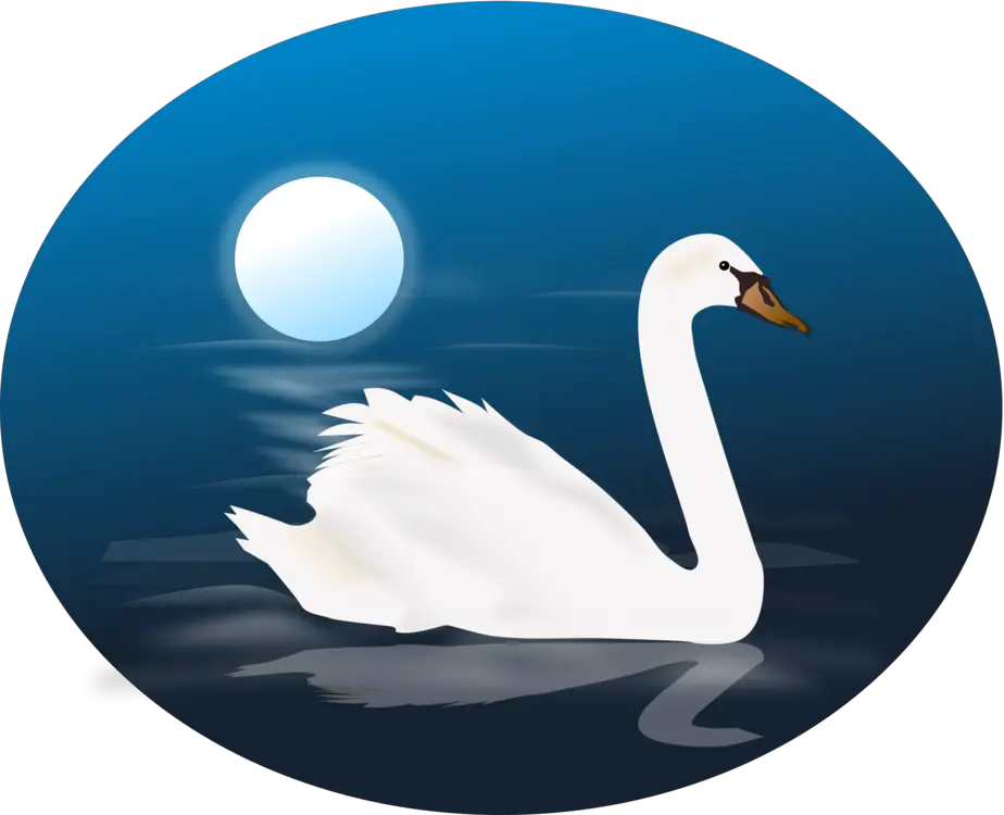 Download 2 Swans Png Images Clipart Free Freepngclipart Animated Picture Of Swan Swan Png