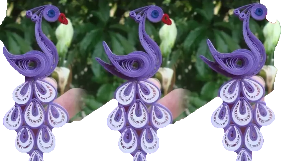 Justin Bieber Art Easy Quilling Peacock Png Justin Bieber Icon For Twitter