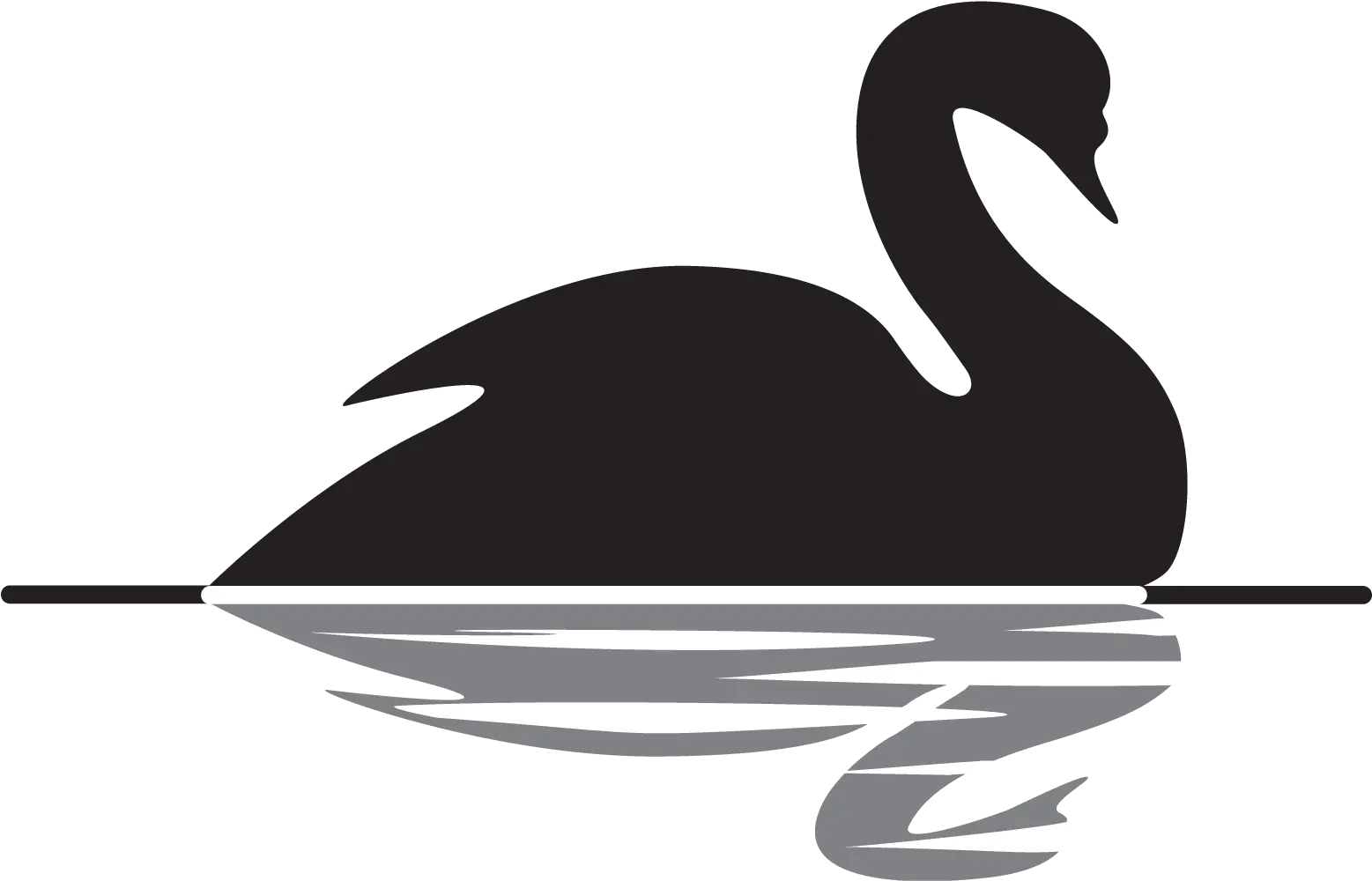 Pin Black Swan Theory Ppt Png Swan Logo