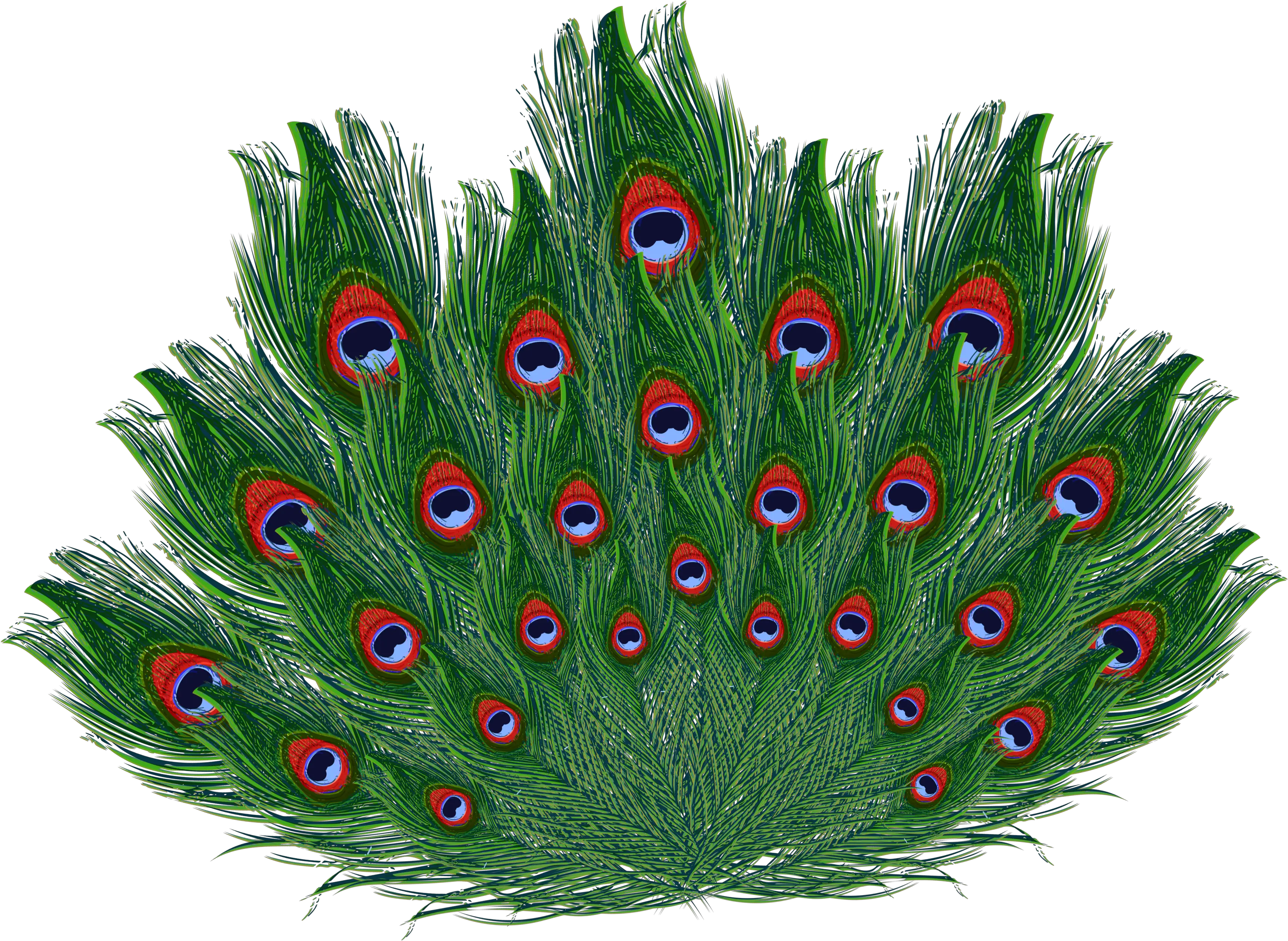 Krishna Images Emoticon Peacock Peacock Feather Hd Png Peacock Feather Png