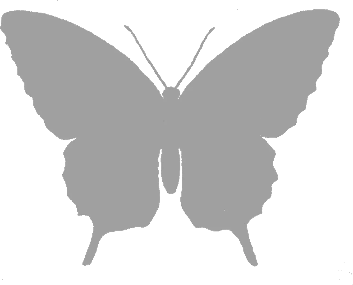 Butterfly Silhouette Image Grayscale White Butterfly Png Butterfly Silhouette Png