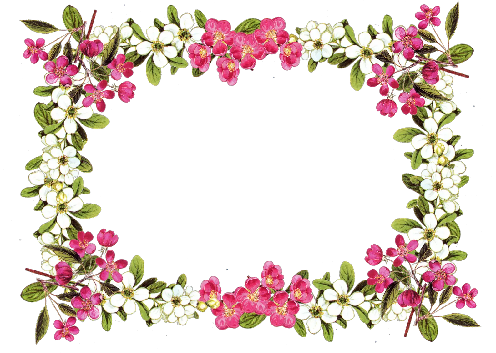 Flower Arrangement Clipart Transparent Background Flower Frame Png Wedding Flowers Png