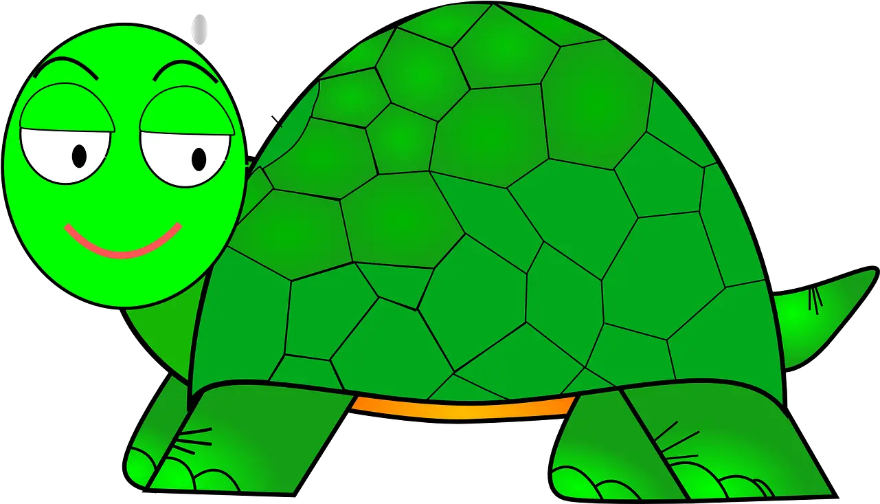 Turtle Cartoon Cute Free Vector Graphic On Pixabay Cartoon Green Turtle Drawing Png Cute Turtle Png