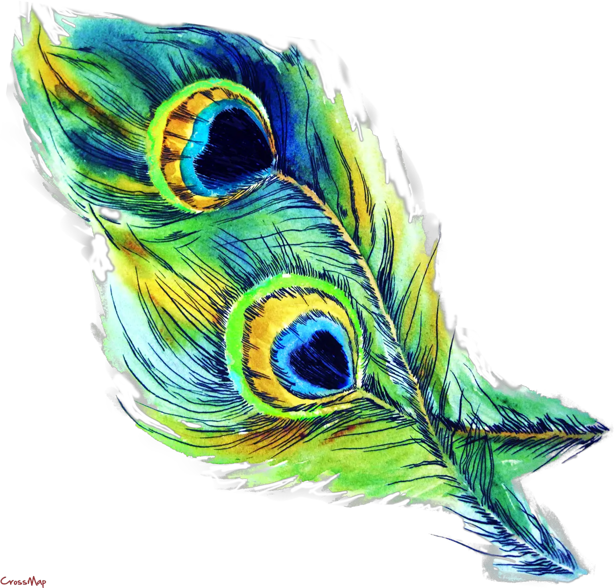 Clipart Png Peacock Transparent Free Krishna Peacock Feather Png Artwork Png