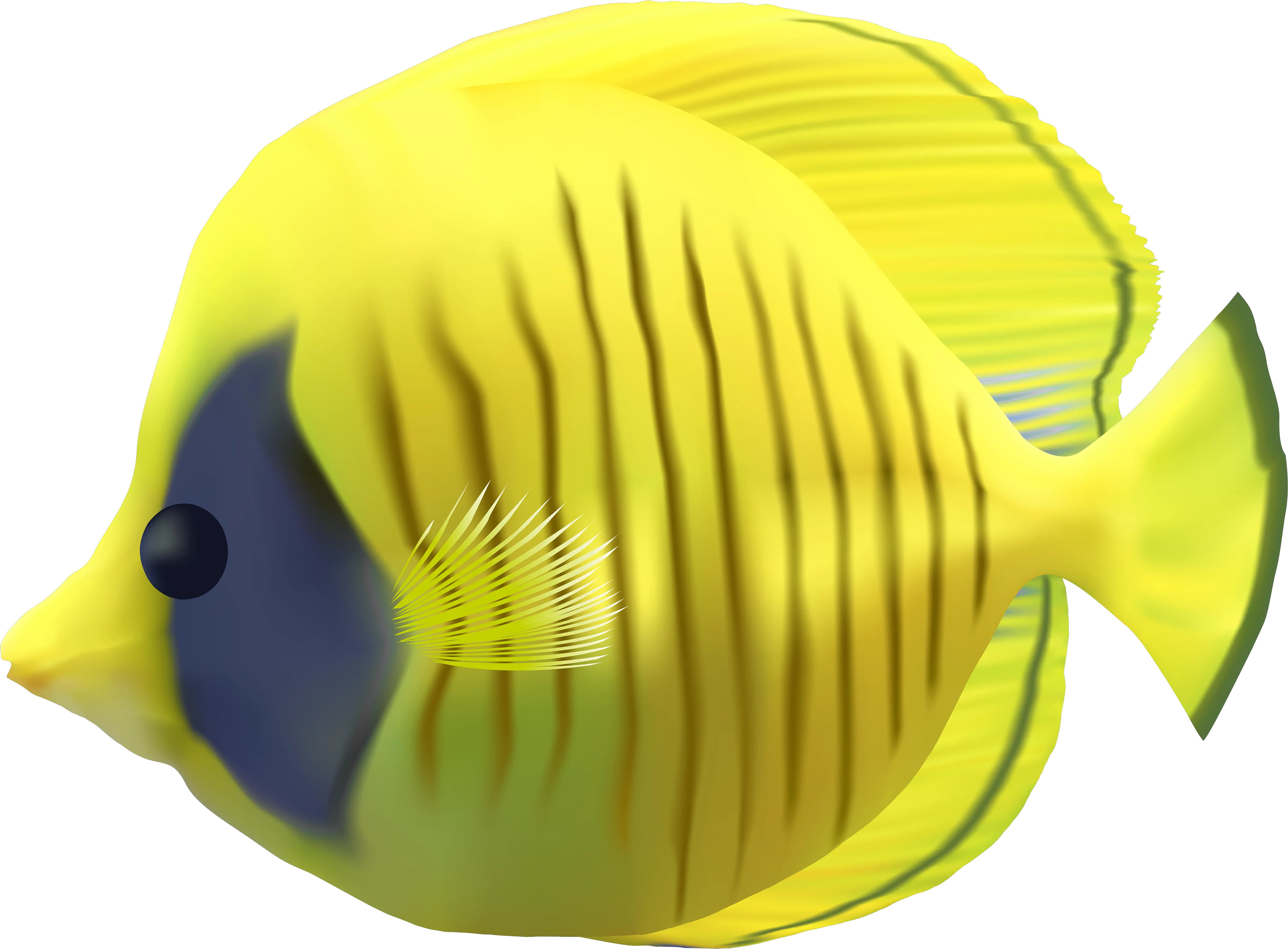 Cartoon Fish Png Picture Transparent Background Fish Png Transparent Cartoon Fish Transparent Background