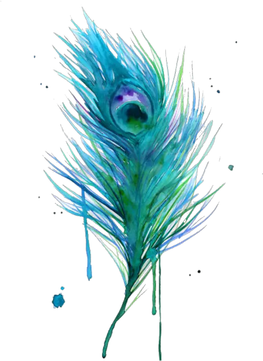 Asiatic Peafowl Feather Bird Clip Art Water Color Tattoo Png Peacock Feathers Png