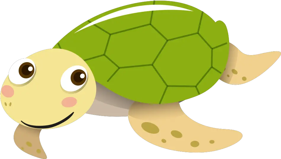 Sea Turtle Tortoise Portable Network Sea Turtle Cartoon Png Cute Turtle Png