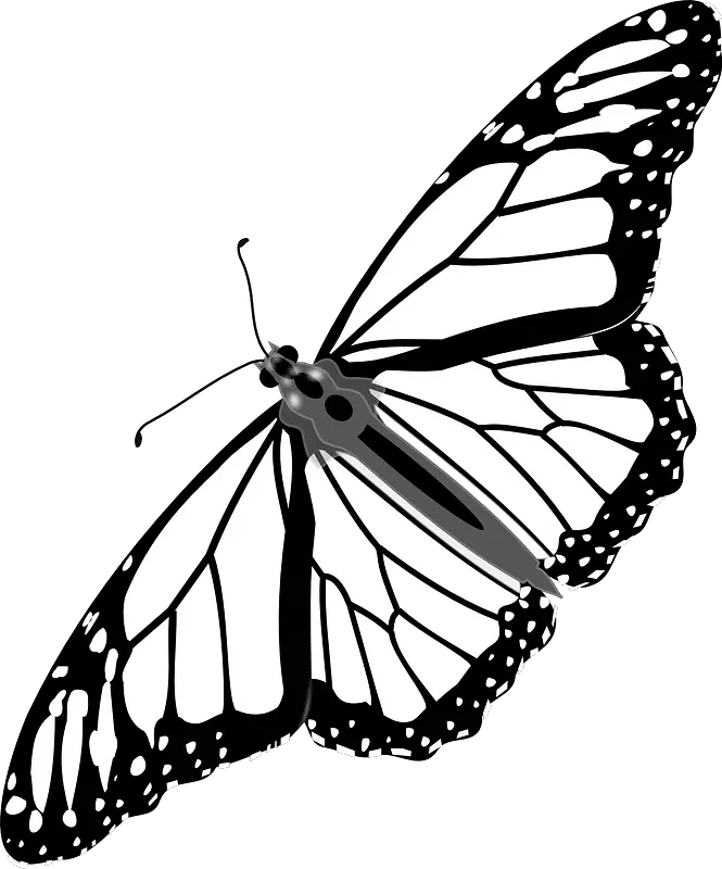 Cartoon Monarch Butterfly 25 Buy Clip Art Monarch Transparent Transparent Background Butterfly Clipart Png Butterfly Tattoo Png