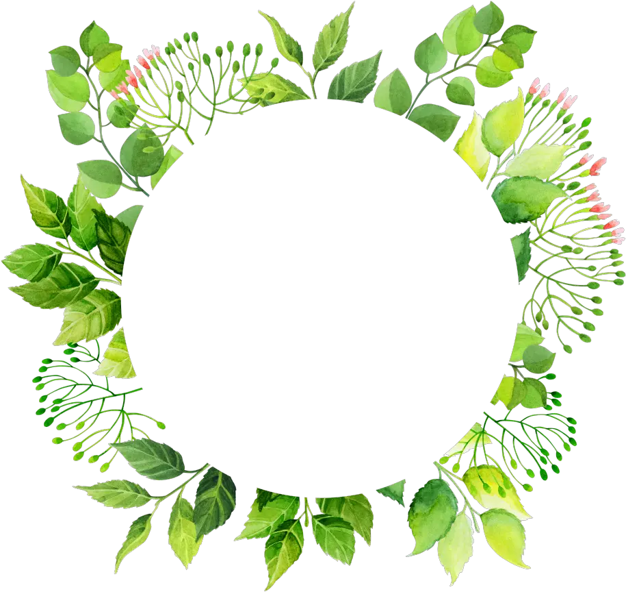 This Graphics Is Green Circle Frame Png Transparent Green Flower Frame Circle Green Png Circle Frame Png