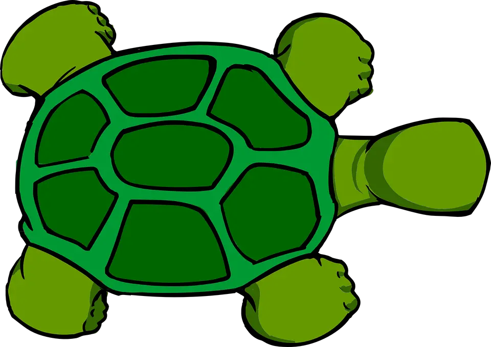 Turtle Shell Clipart Cartoon Turtle Birds Eye View Png Turtle Clipart Png