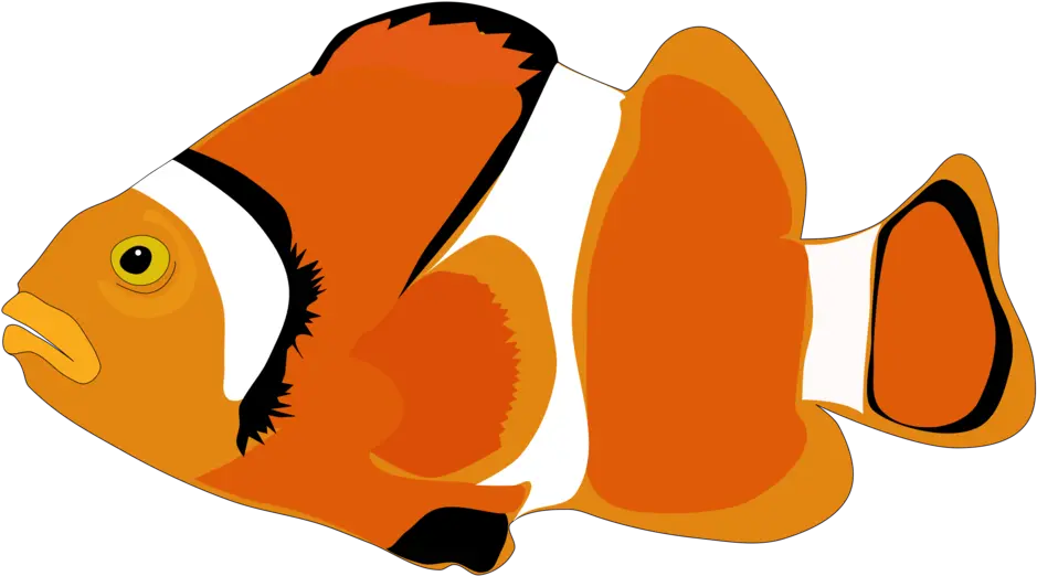 Download Clownfish Cartoon Computer Icons Cartoon Fish Png Fishes Cartoon Png Cartoon Computer Png