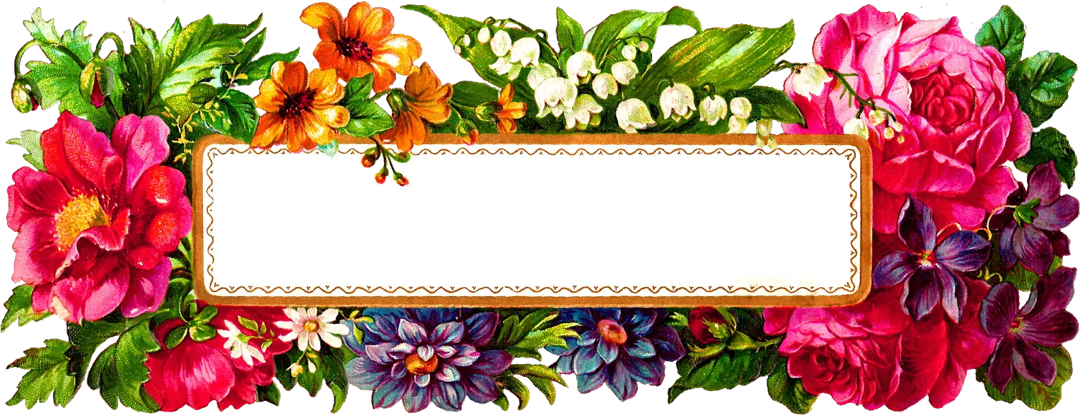 Digital Flower Label Blank Wildflower Rectangle Flower Frame Png Wildflower Png