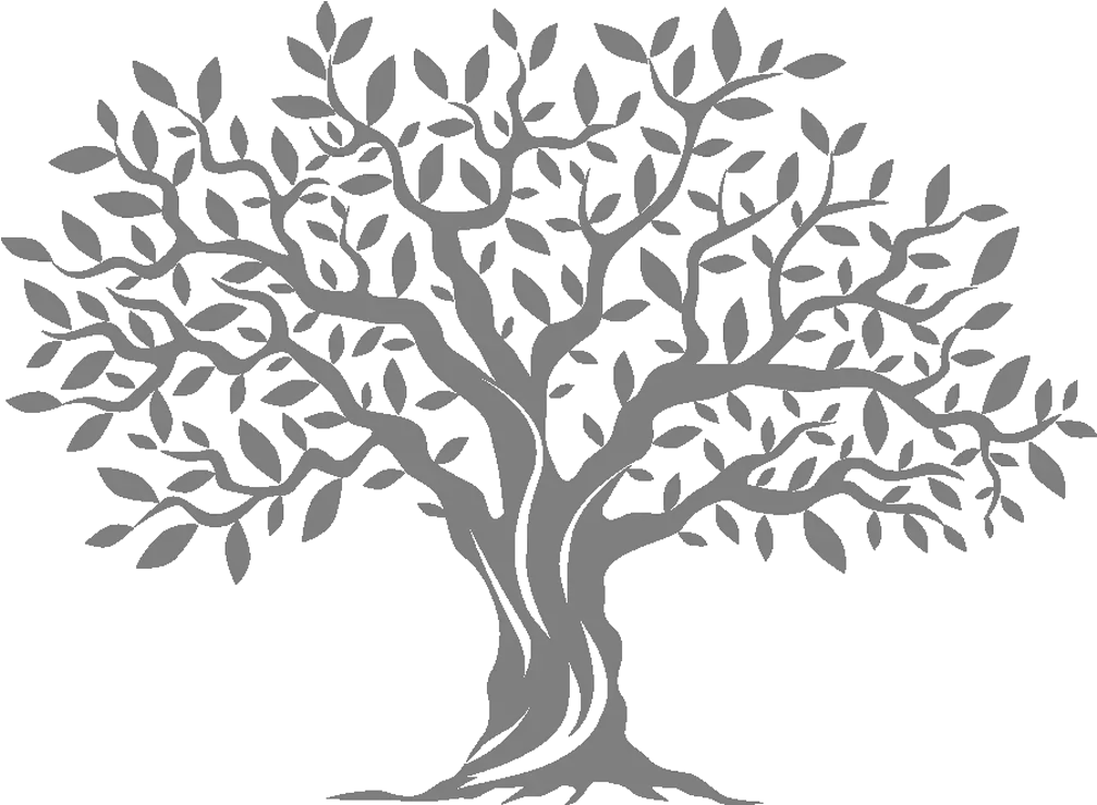 Transparent Olive Tree Silhouette Silhouette Olive Tree Png Olive Tree Png