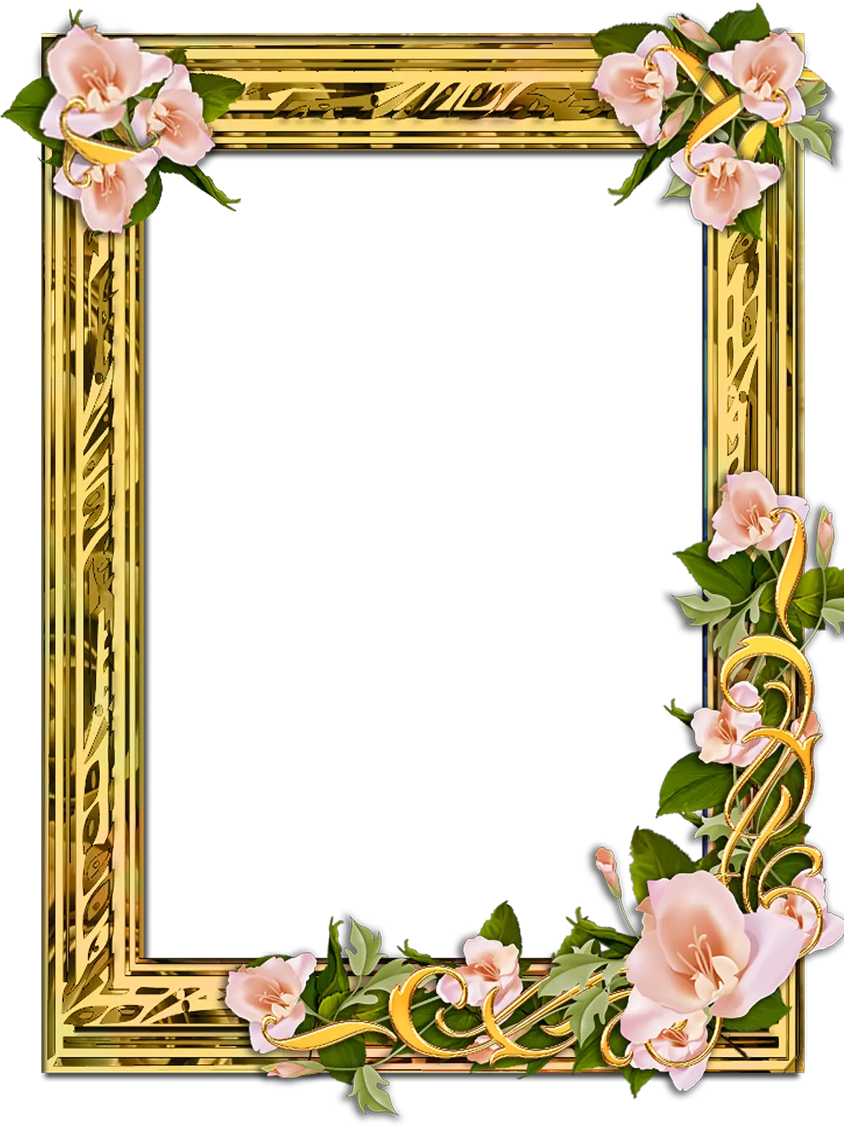 Png Gold Frame With Flowers Transparent Background Golden Frame Png Hd Gold Picture Frame Png