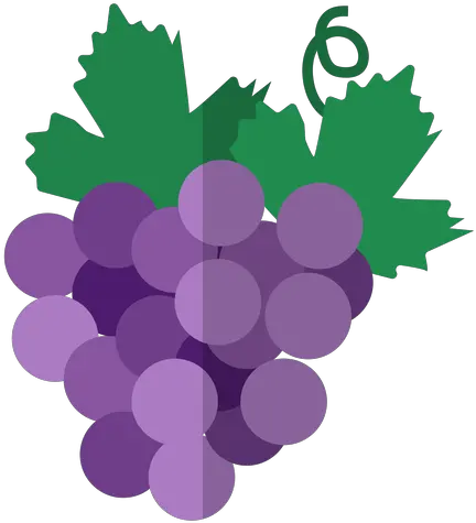 Kwanzaa Grape Bunch Icon Transparent Png U0026 Svg Vector File Vector Grape Vine Png Transparent Background Grape Png