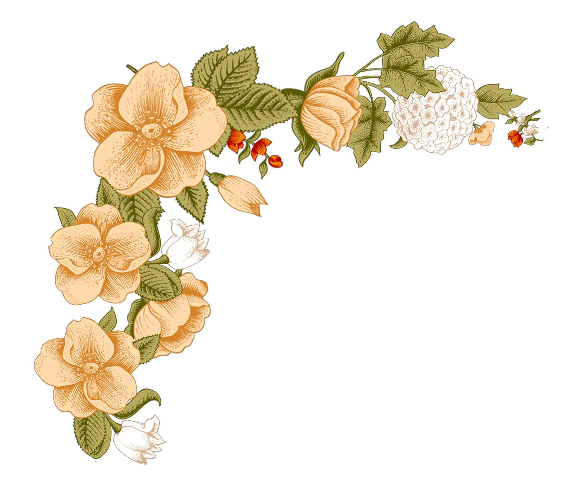 Download Flower Floral Design Clip Art White Flower Frame Floral Frame Transparent Background Png Flower Frame Png