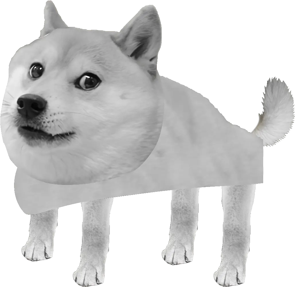 Is There Any Way To Do Something Like This Hokkaido Dog Png Morph Effect On Tiktok Icon