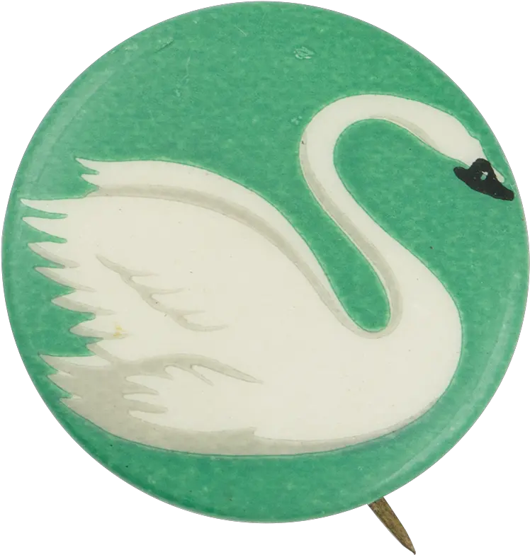 Swan Transparent PNG