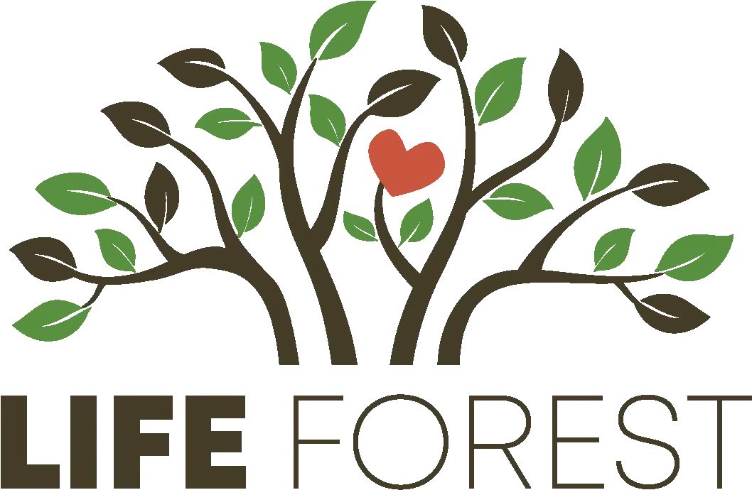 Life Forest Trail Committee Tree With Roots Graphic Png Trail Life Logo