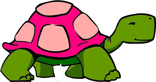 Download Turtlepngtransparentimagestransparent Cartoon Turtle Transparent Background Png Girl Clipart Transparent Background