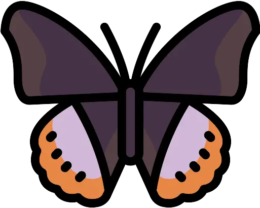 Butterfly Top View Black Silhouette Girly Png Butterfly Icon Image Girly