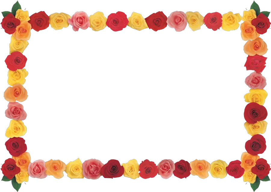 Floral Frame Png Hd Quality Floral Frame Png Hd