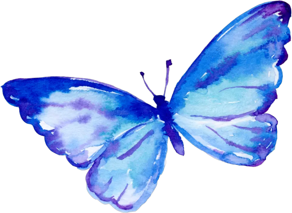 Download Flying Butterfly Cartoon Transparent Flying Transparent Blue Butterflies Animated Png Flying Butterfly Png