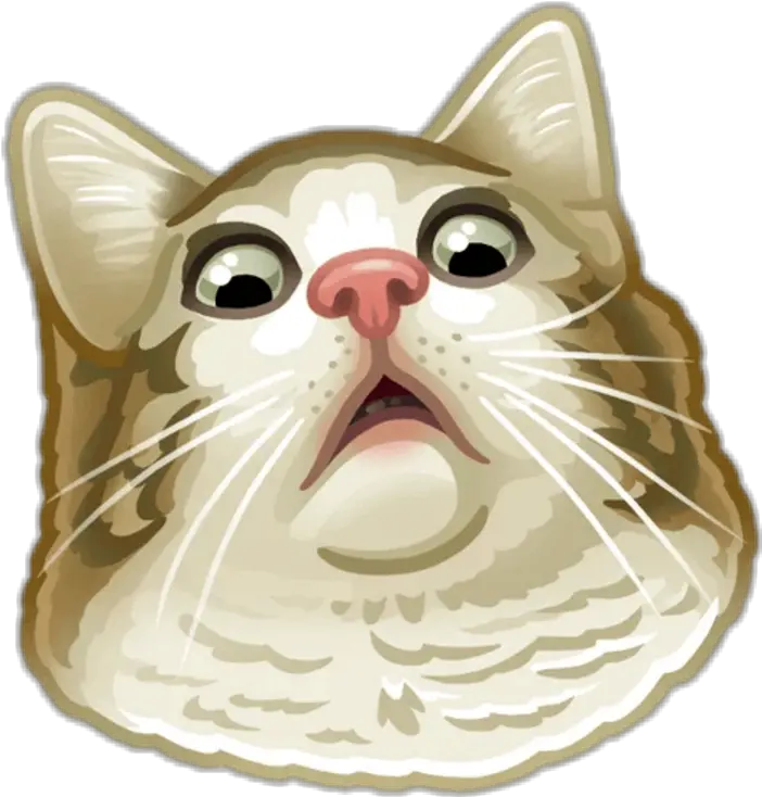 Wtf Face Png Telegram Cat Stickers Png Wtf Png