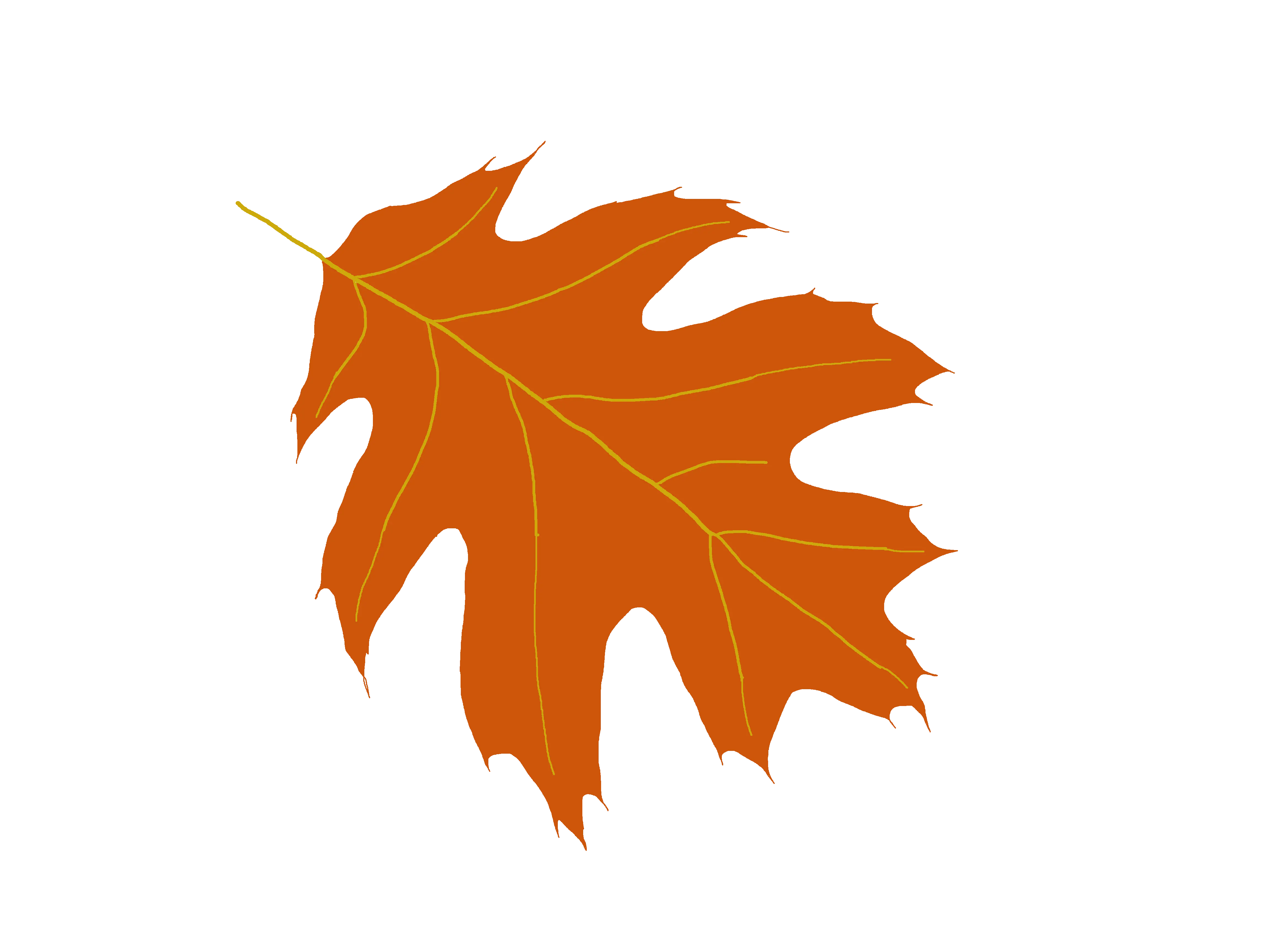 Oak Tree Silhouette Oak Hd Png Download Original Size Oak Leaf Clipart Png Oak Tree Silhouette Png