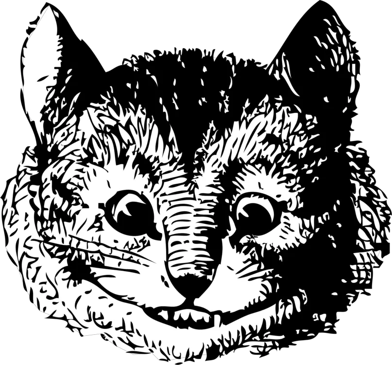 Alice In Wonderland Rabbit Transparent Png Stickpng Cheshire Cat Adventures In Wonderland Alice In Wonderland Png