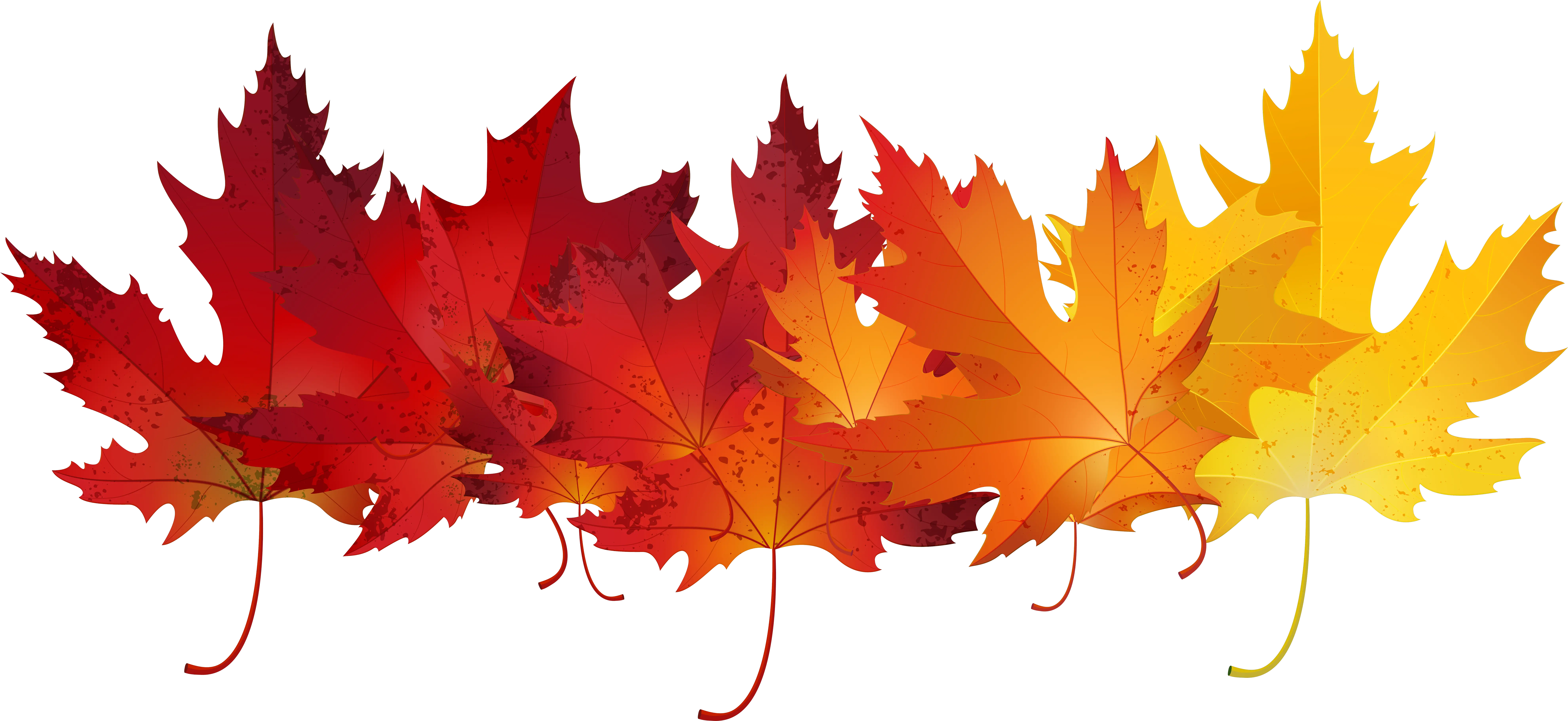 Autumn Leaf Color Clip Art Autumn Leaves Transparent Background Png Fall Leaf Transparent