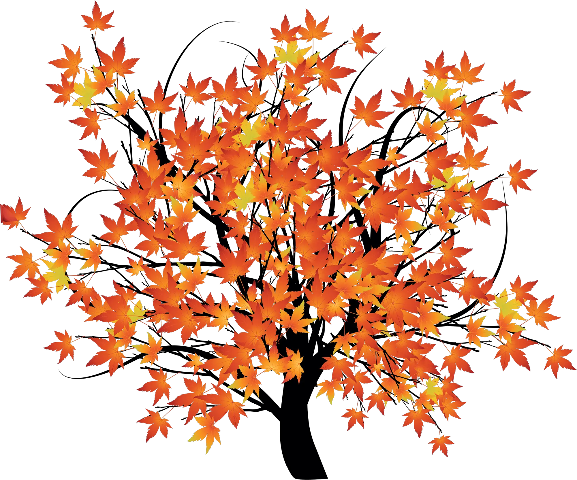 An Autumn Background Scene With Trees Autumn Tree Transparent Background Png Fall Trees Png