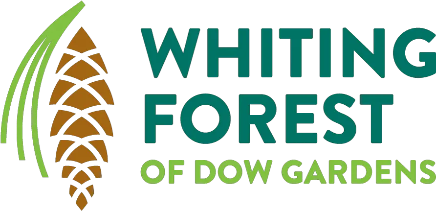 Download Whiting Forest Of Dow Gardens Logo Royal Air Illustration Png Air Force Logo Vector