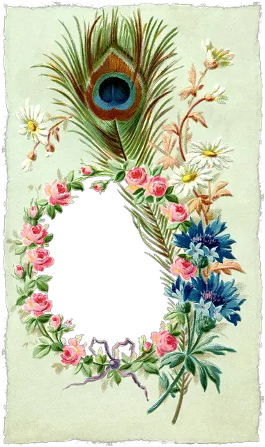 Free Image Vintage Frame Floral Feather Border Peacock Feather Design Png Peacock Feathers Png