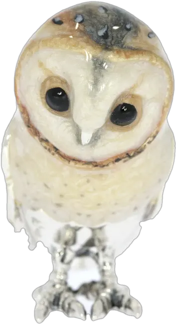 Download Sterling Silver U0026 Enamel Barn Owl By Saturno Barn Barn Owl Png Barn Owl Png