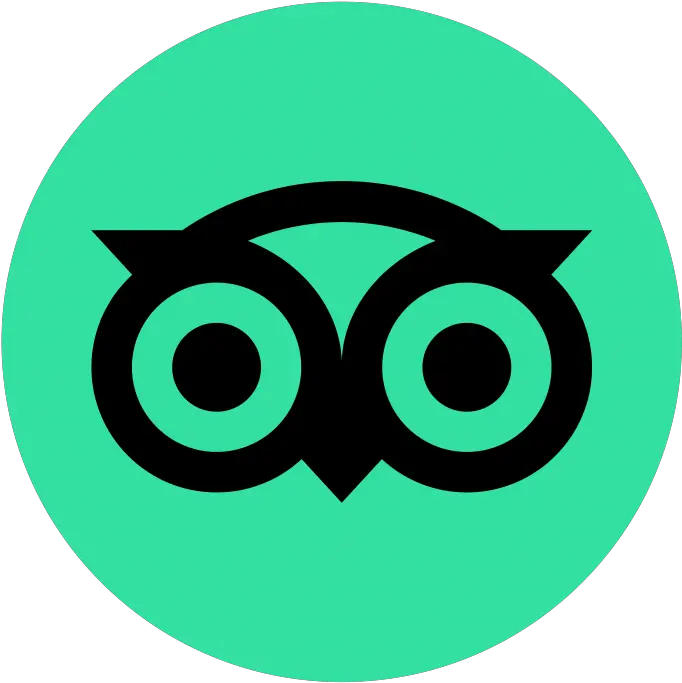 The New Tripadvisor Logo 2019 Png Tripadvisor Logo Transparent Background Owl Eyes Logo