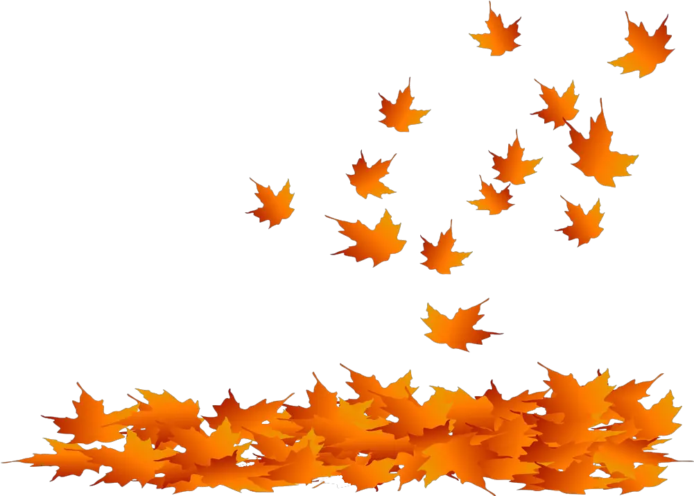 Bizzy Beeu0027s Corner Fun Resources For Kids Parents Educators Autumn Pile Of Leaves Clipart Png Fall Leaf Png